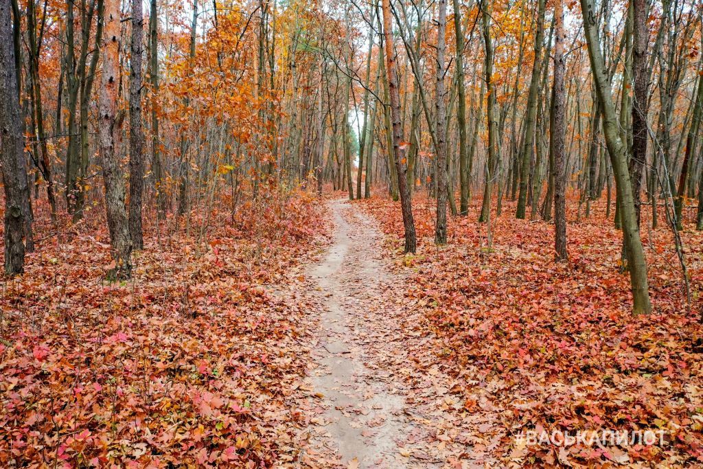 Красивая осень в Бресте
