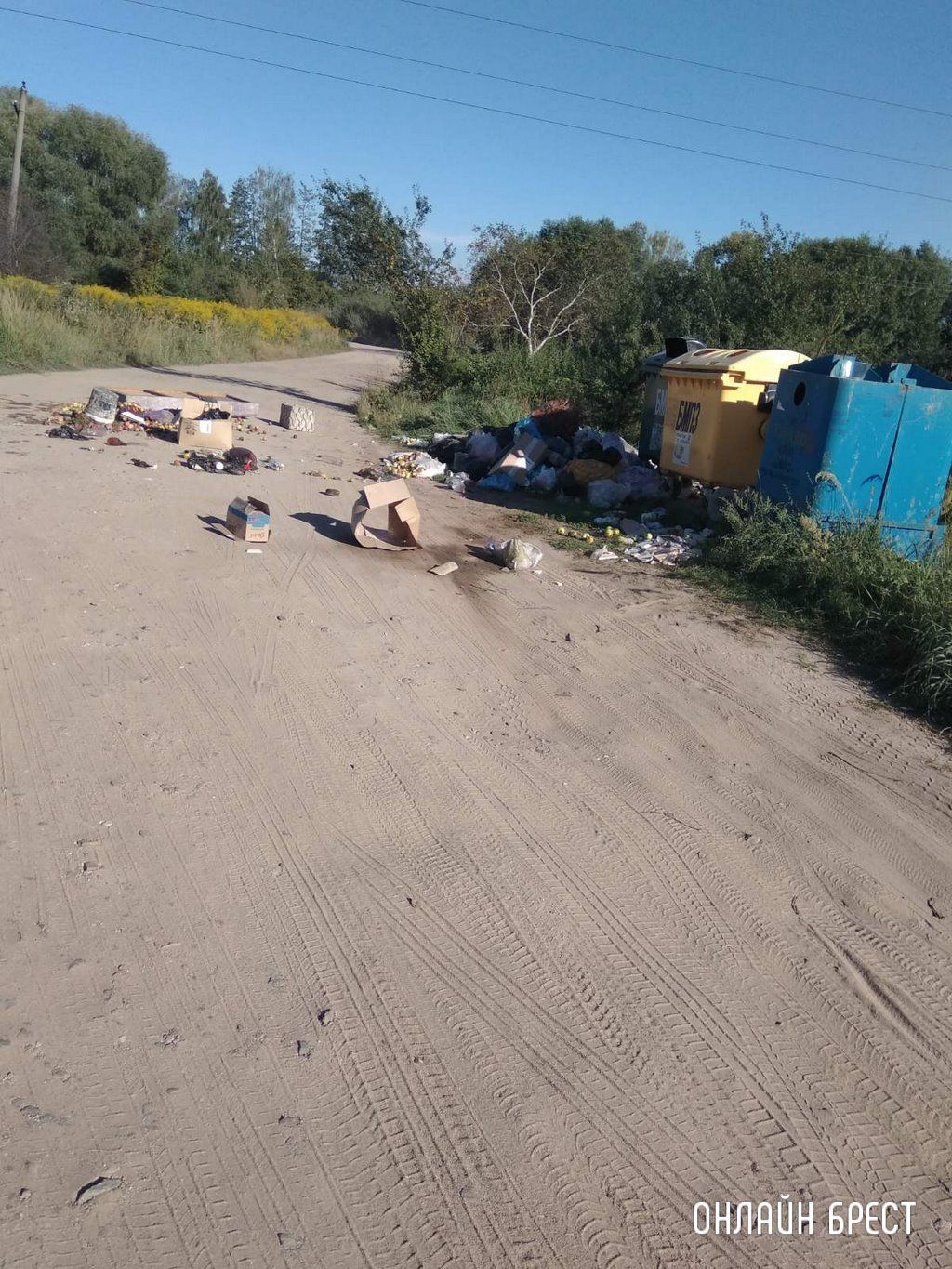 Читатель: 03.09.22. Мусор на улице Абрикосовой, г. Брест. Нет слов. Как люди могут довести до такого беспорядка?