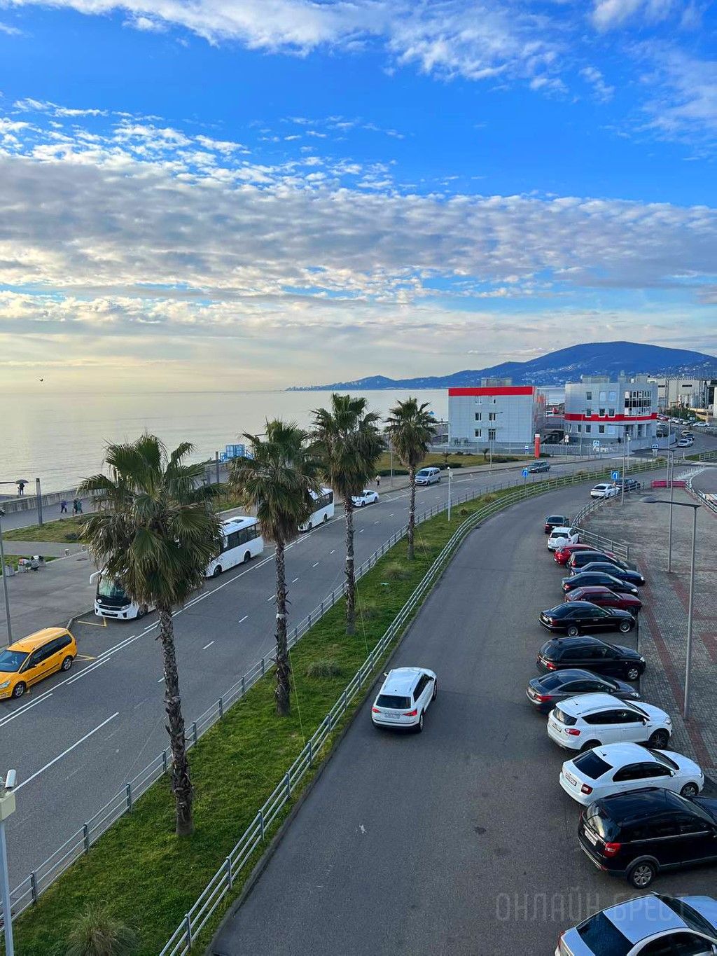 Читательница: Привет Бресту из Сочи!