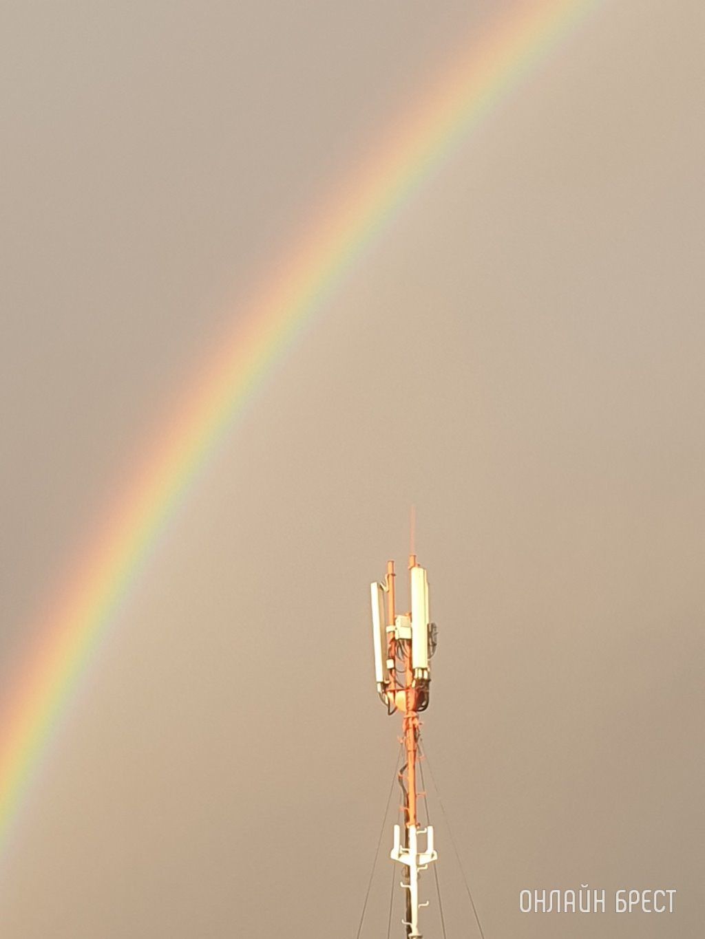 Читатель: Сегодня над Брестом была снова радуга