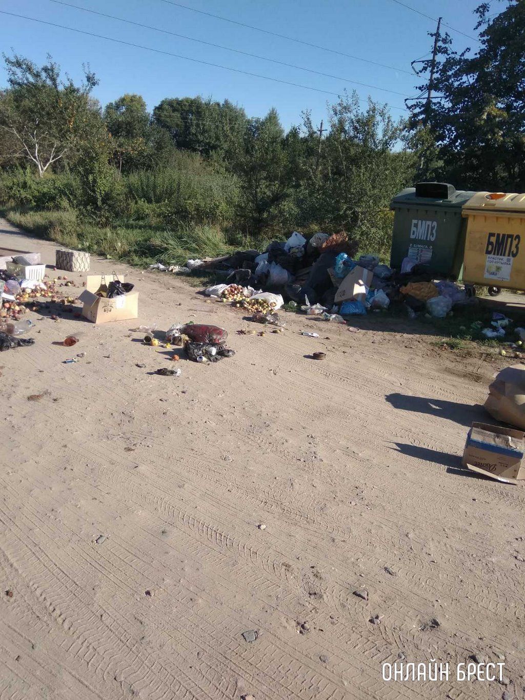 Читатель: 03.09.22. Мусор на улице Абрикосовой, г. Брест. Нет слов. Как люди могут довести до такого беспорядка?