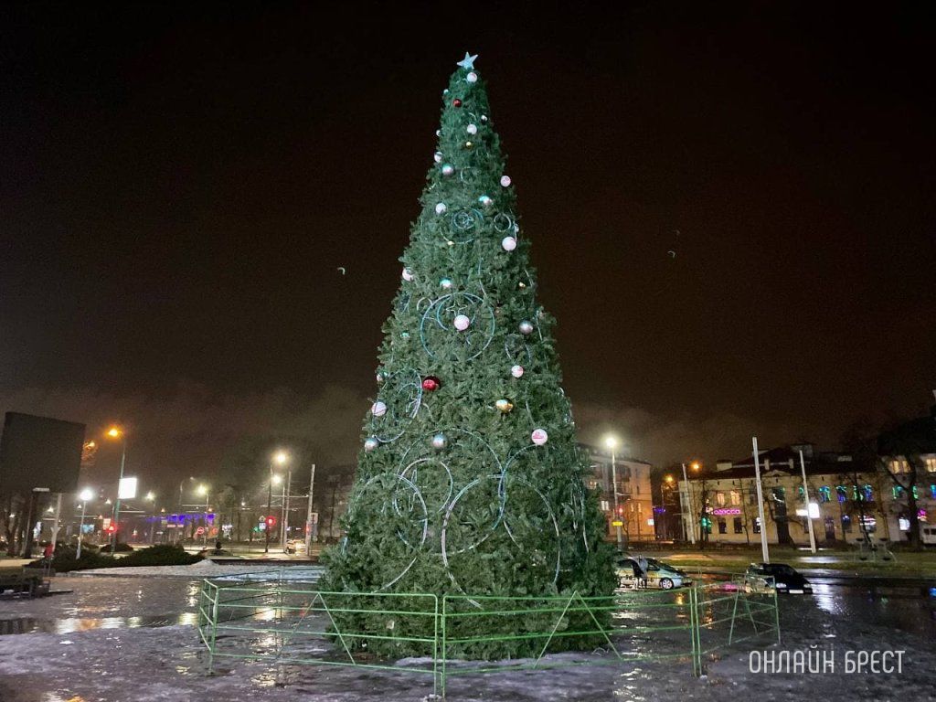 Читатель: Ёлка возле ЦУма в Бресте
