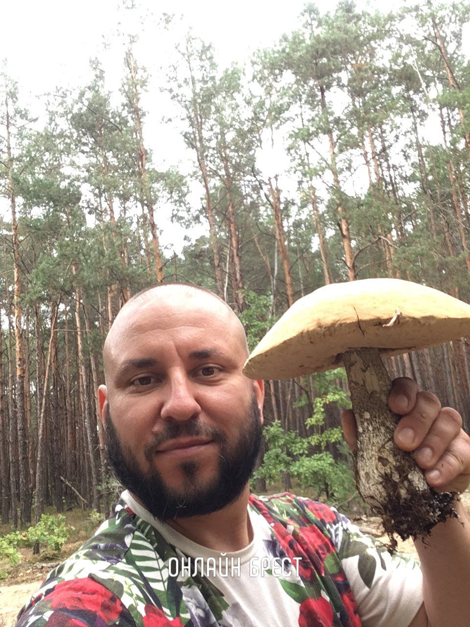 Наши читатели поделились с нами удивительным уловом грибов