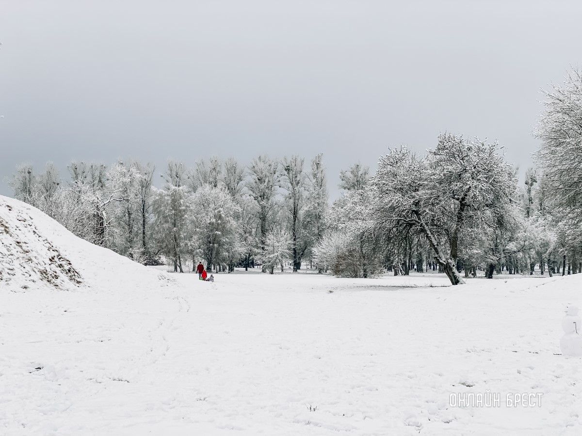 Прогулка по снежному Бресту