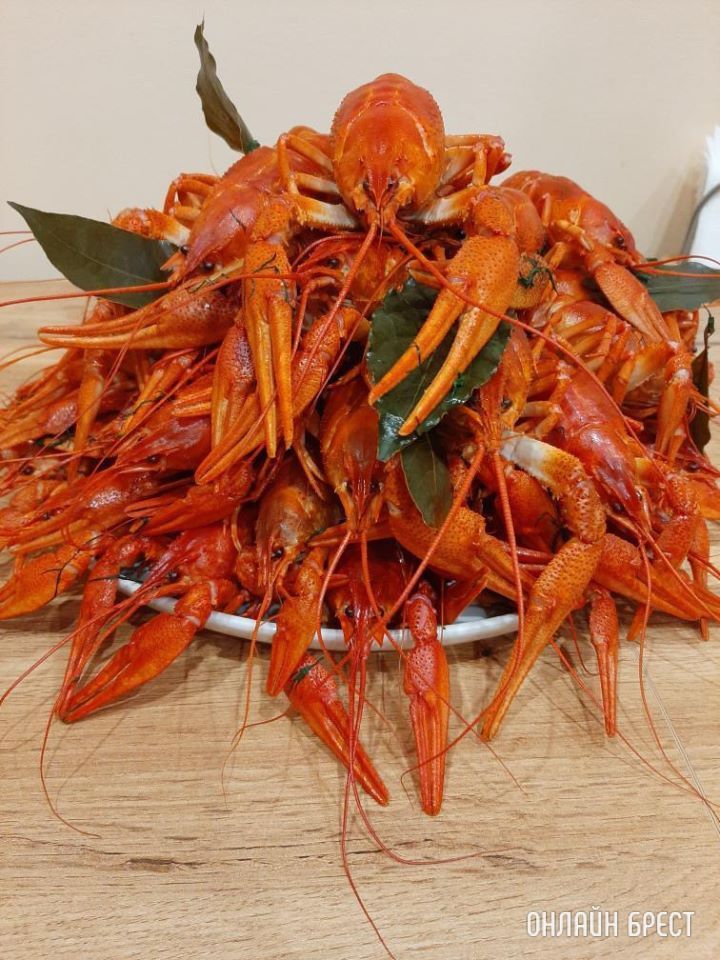 Улов брестчанина