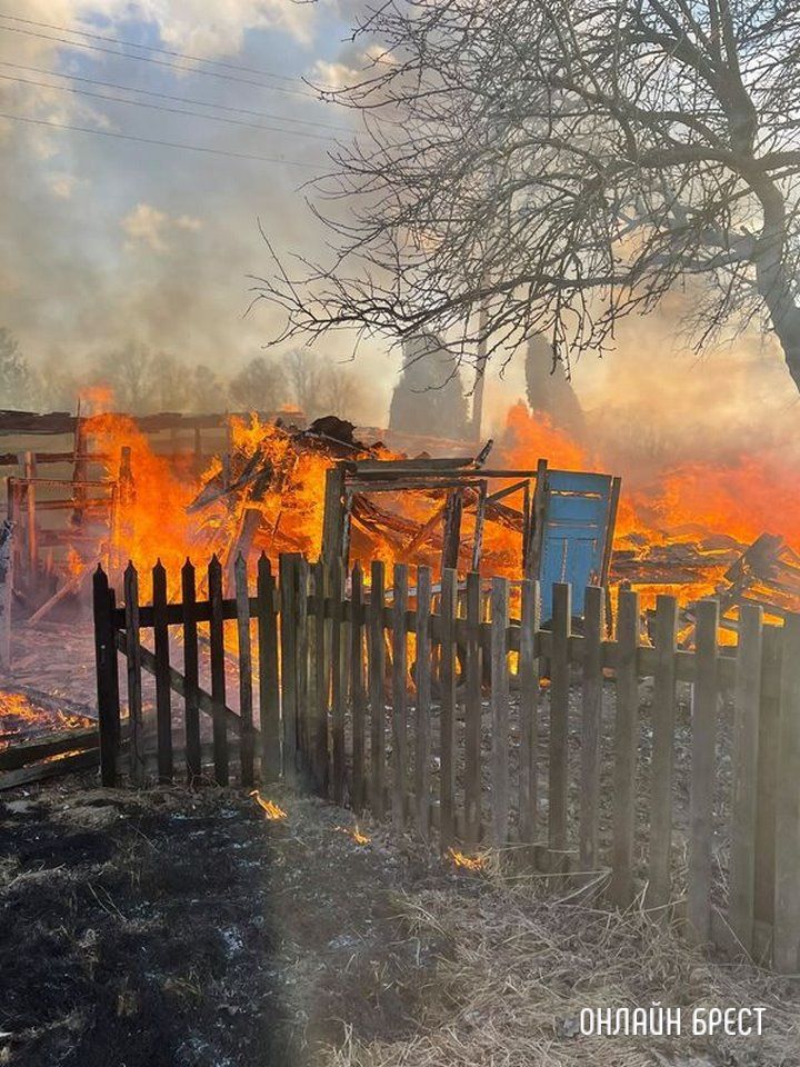 Читатель: Сегодня произошёл серьёзный пожар в Дрогичинском районе в д. Гумнище. Предположительно: от травы загорелись теплицы