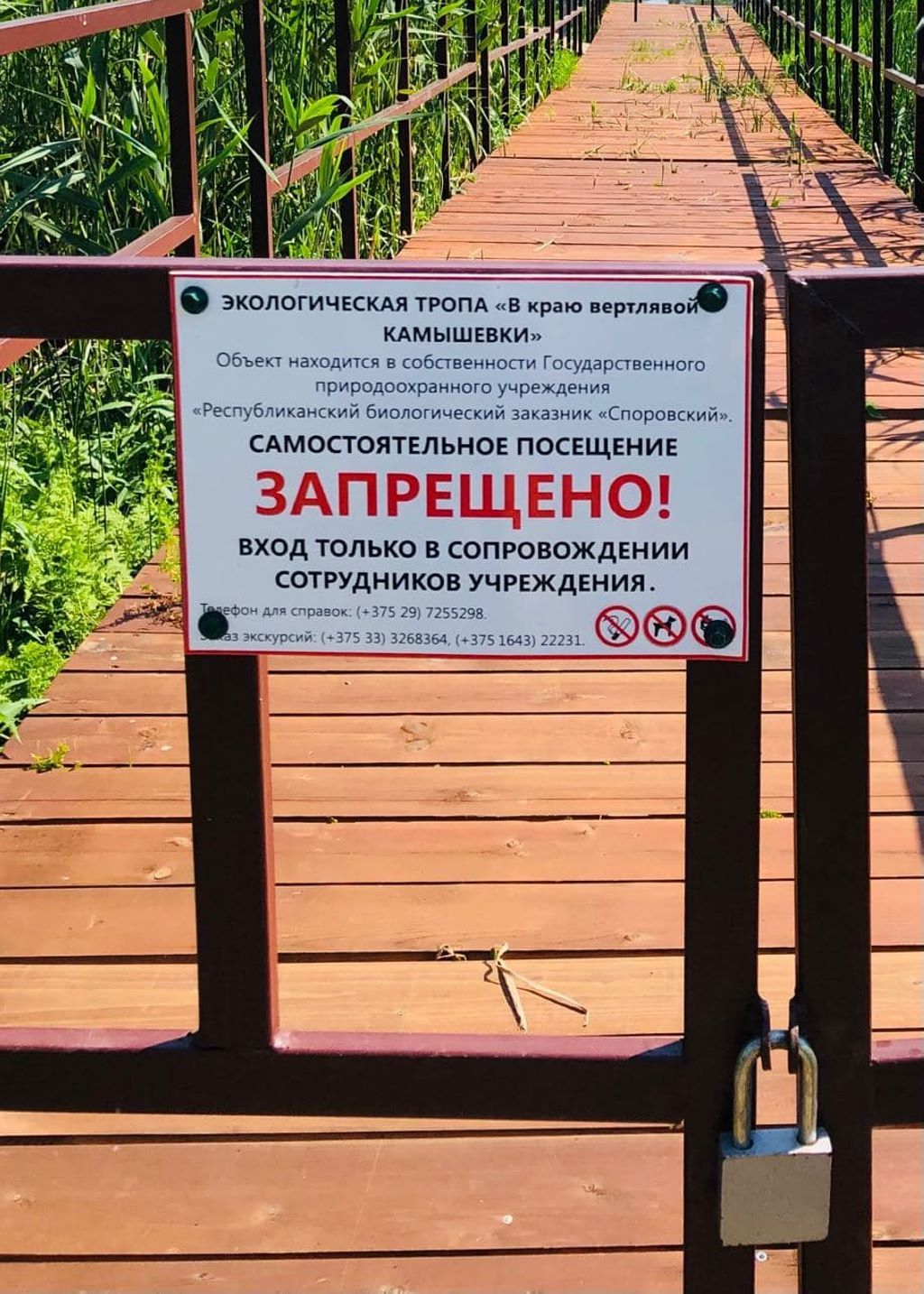 Экотропа в биологическом заказнике «Споровский» с двумя паромными переправами через реку Ясельда. Протяженность тропы 1,5 км