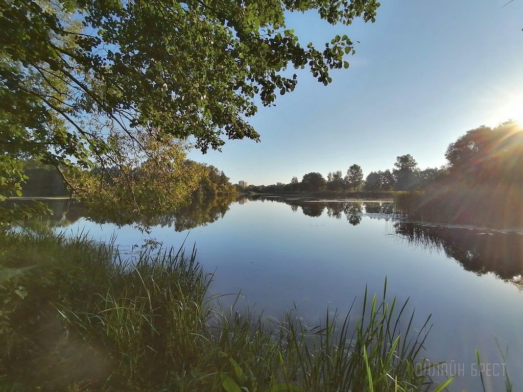 Читатель: Немного фотографий природы. Соя и Мухавец в Бресте