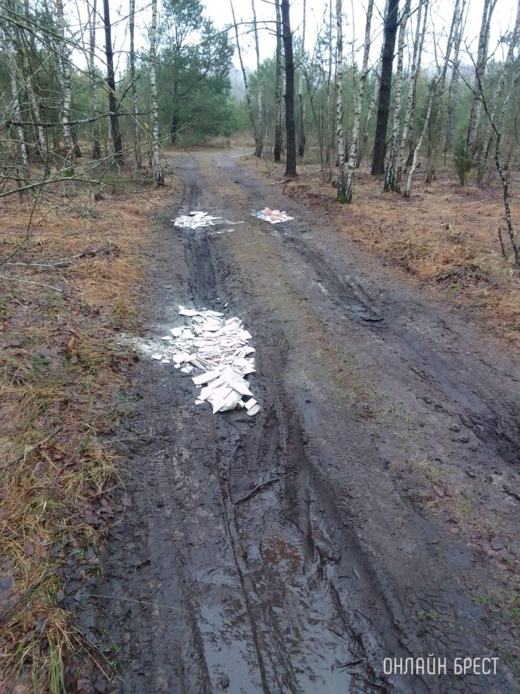 Читатель: Водитель автомобиля высыпал мусор на дорогу. Случай произошёл в лесу недалеко от населенного пункта Мухавец, Разве это нормально?