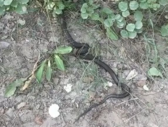 Если бы мне рассказали, я бы не поверила...