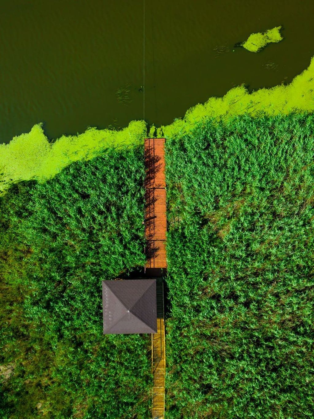 Экотропа в биологическом заказнике «Споровский» с двумя паромными переправами через реку Ясельда. Протяженность тропы 1,5 км