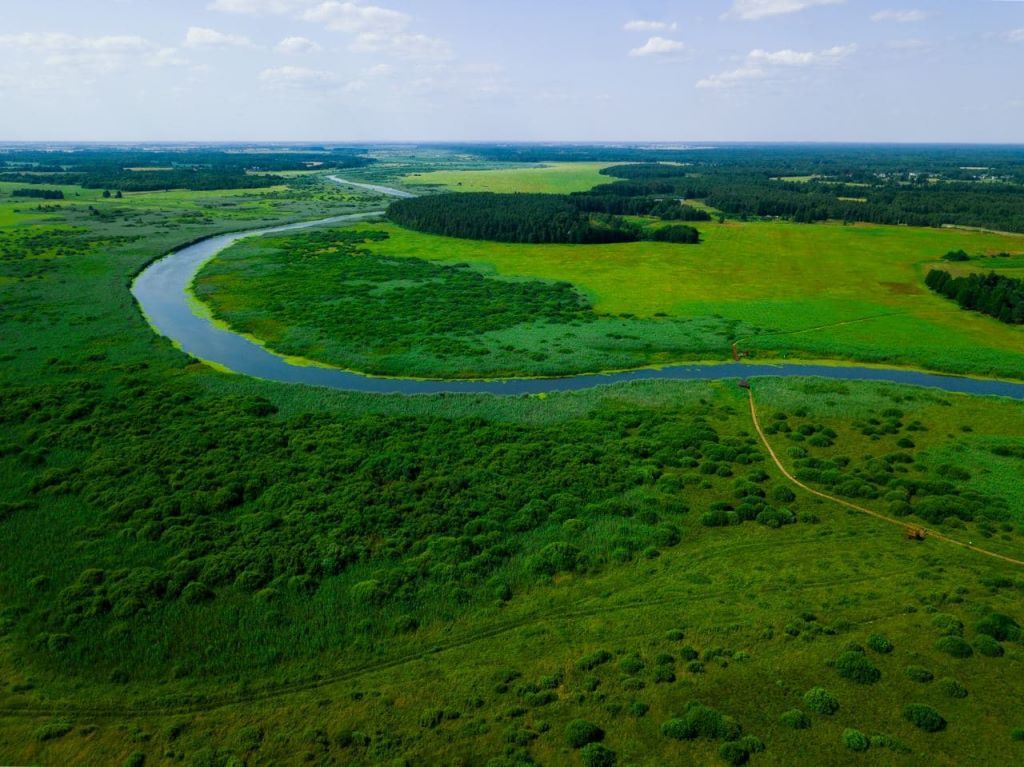 Экотропа в биологическом заказнике «Споровский» с двумя паромными переправами через реку Ясельда. Протяженность тропы 1,5 км
