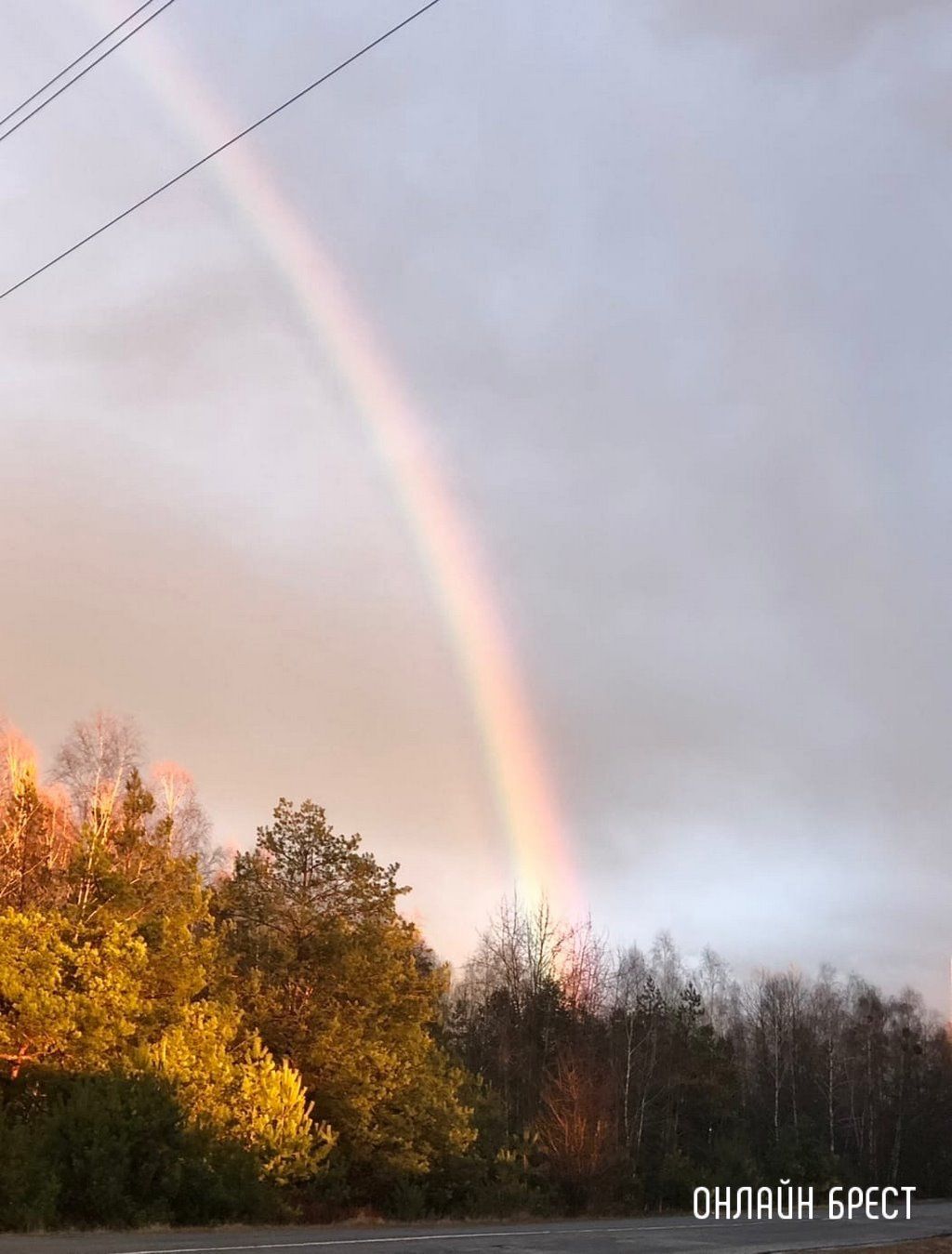 Читатель: Зимняя радуга. Фото сделаны вчера