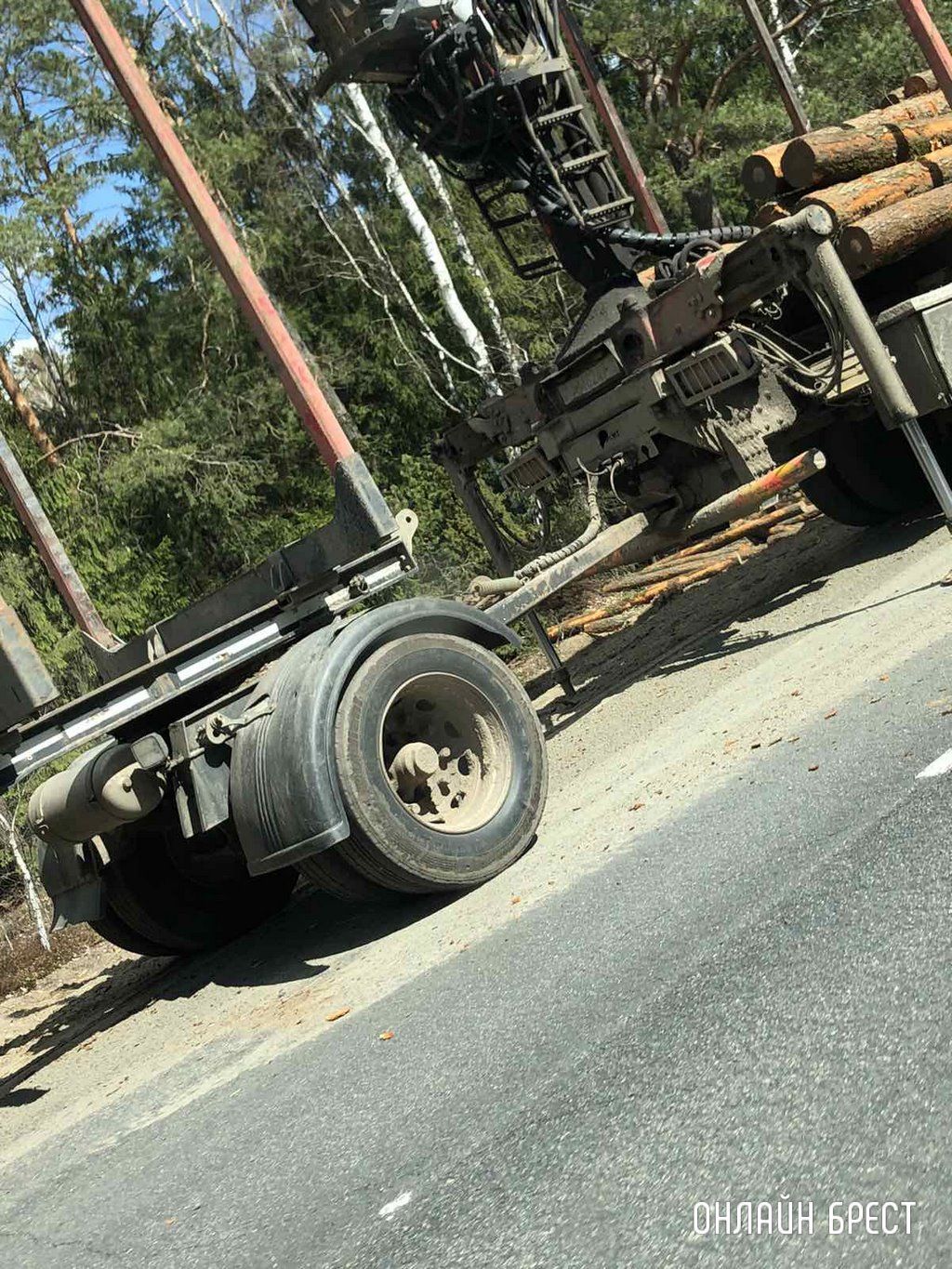 Очевидец: В Ивацевичском районе лесовоз растерял брёвна
