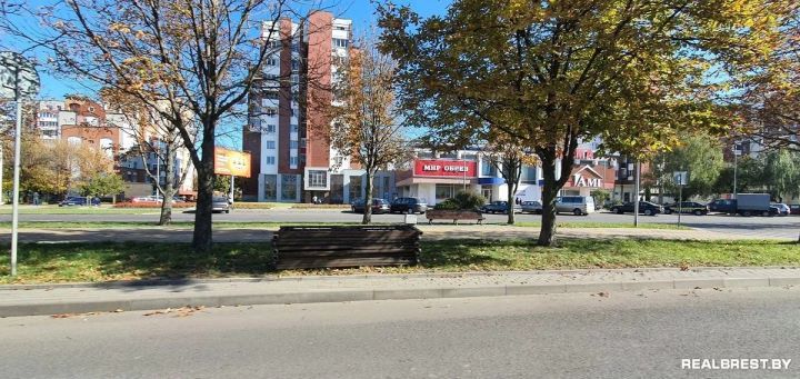 Почему в Бресте на бульварах Шевченко и Космонавтов спилили ограждение между дорогой и пешеходной аллеей?