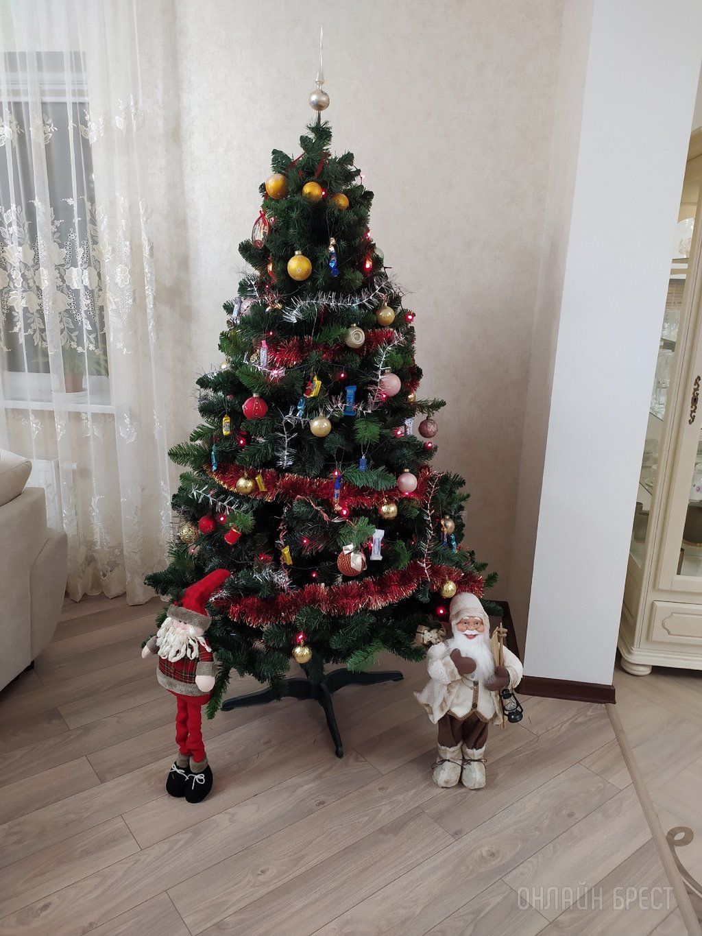 Новогодние красавицы наших читателей