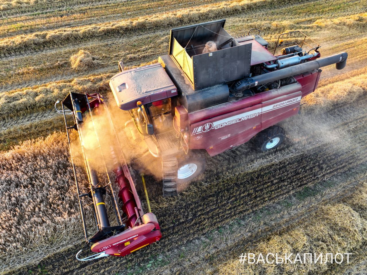 Комбайнеры в поле! Рабочий процесс уборки зерна в Брестском районе