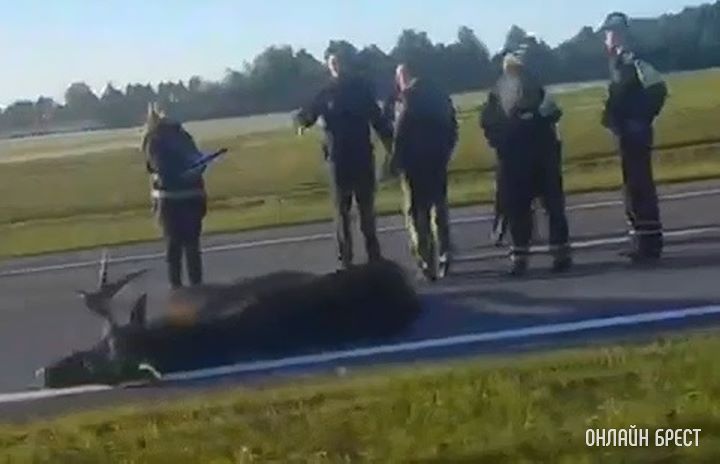 Читатель: Страшное ДТП произошло утром недалеко от Бреста