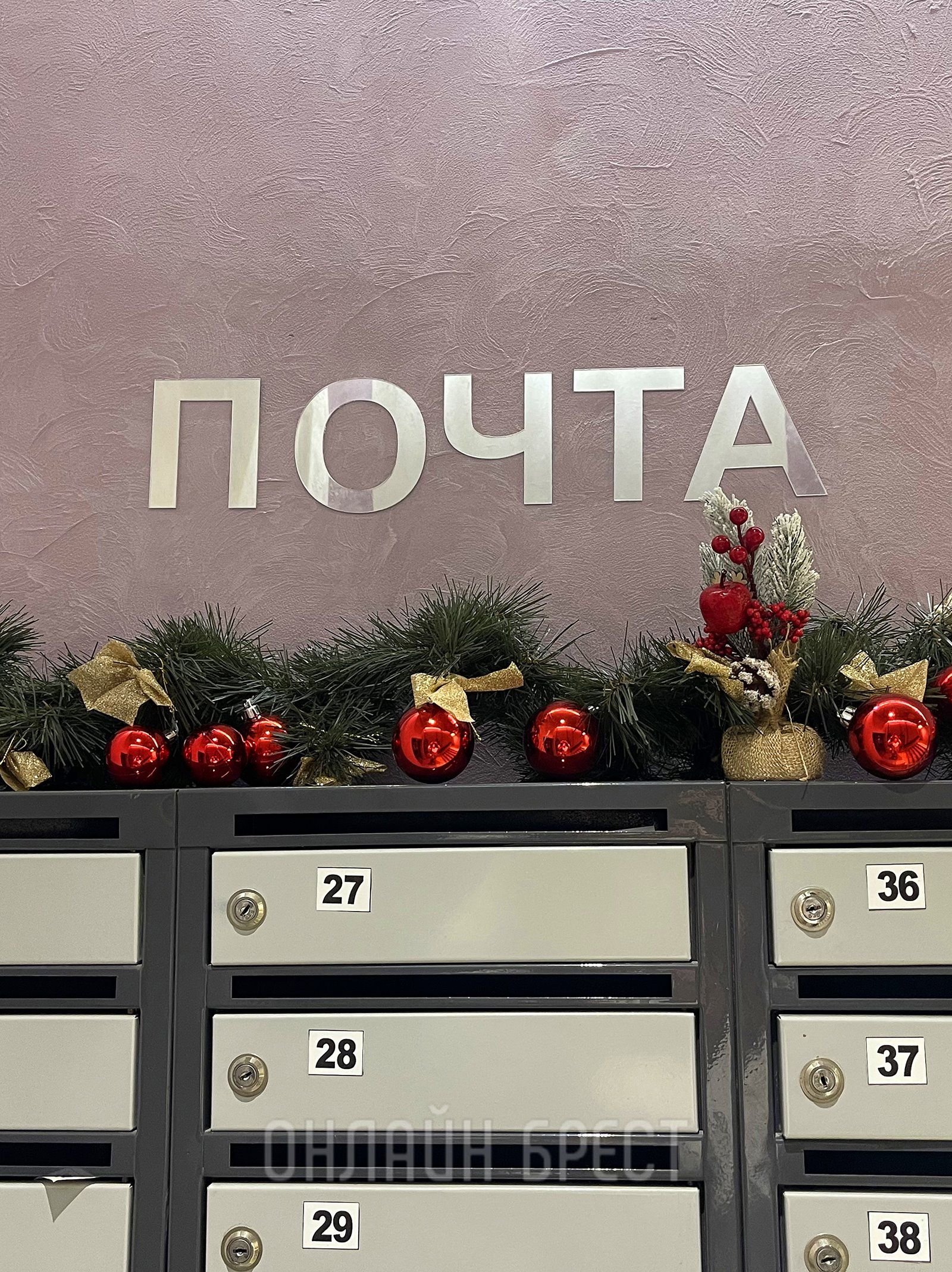 Читатель: Украшение подъезда на ул. ГОБК в Бресте