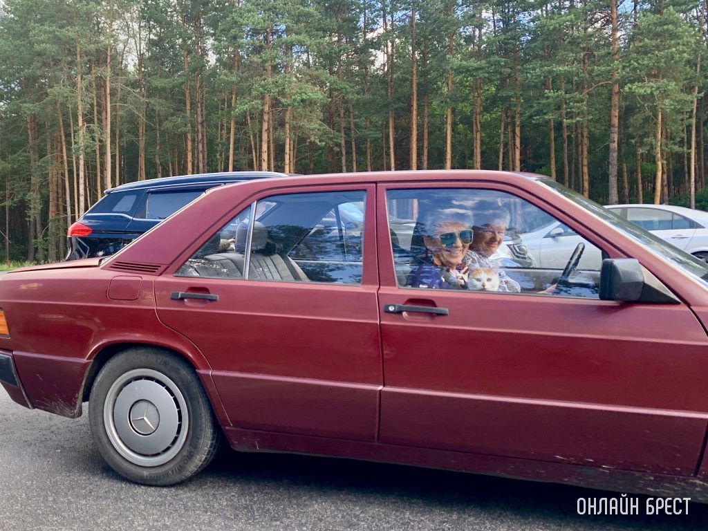 Эта встреча сделала мой день! Наверное, такой приятной компанией направлялись на дачу