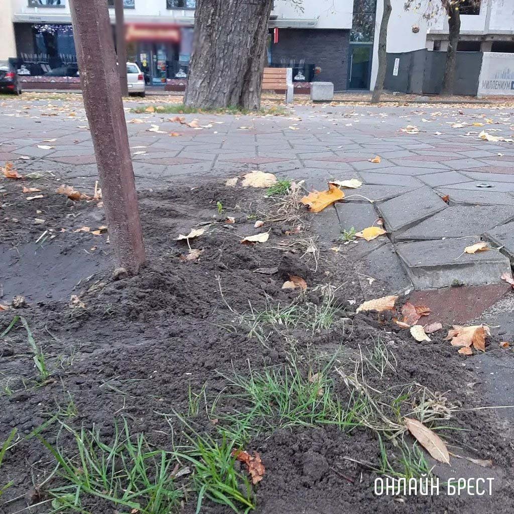 Читатель: Утренняя прогулка с собакой сподвигла меня на этот пост :)