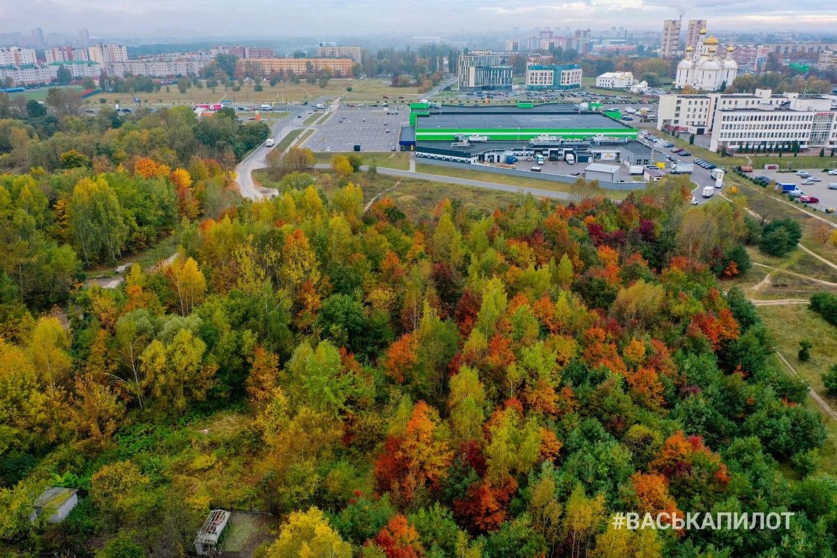 Вот и осень пришла