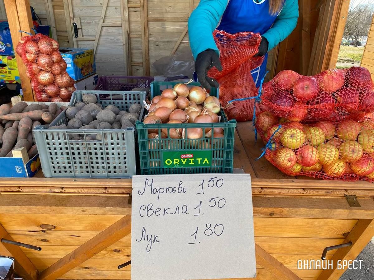 Читатель: Что почем на рынке за ЦУМом в Бресте