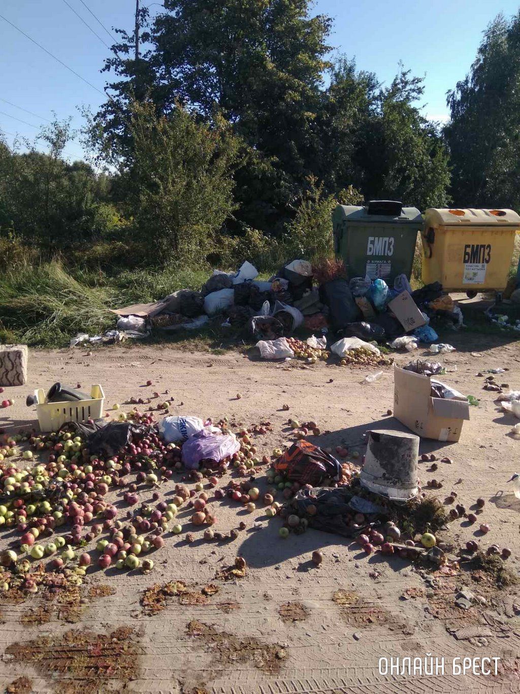 Читатель: 03.09.22. Мусор на улице Абрикосовой, г. Брест. Нет слов. Как люди могут довести до такого беспорядка?