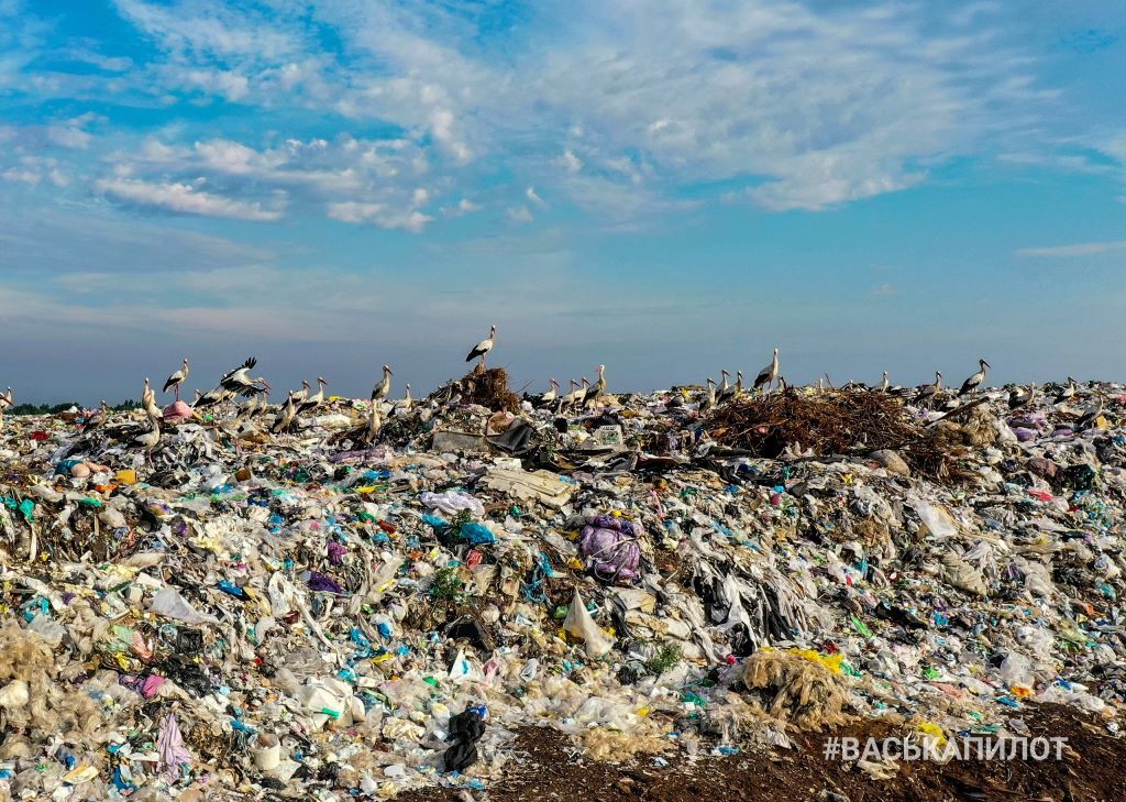 Свалка мусора и аисты. Полигон рядом с Пинском