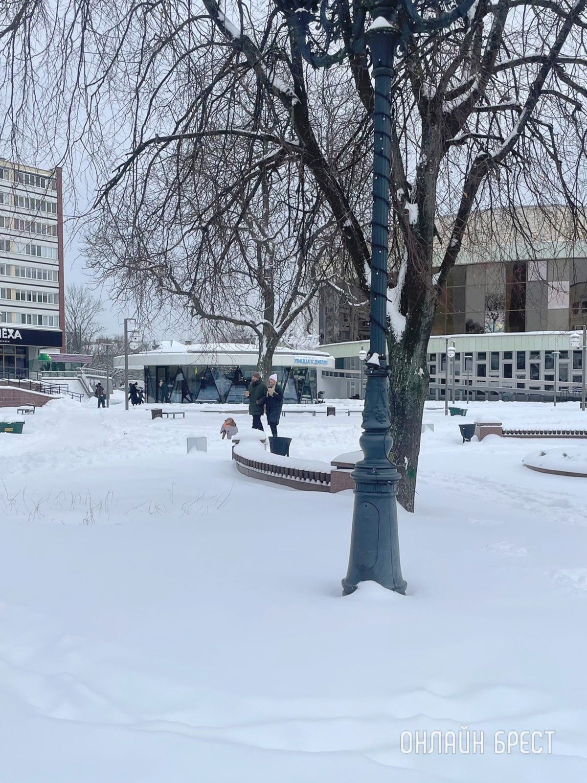 Красивая снежная Советская в Бресте. Фото сделаны сегодня