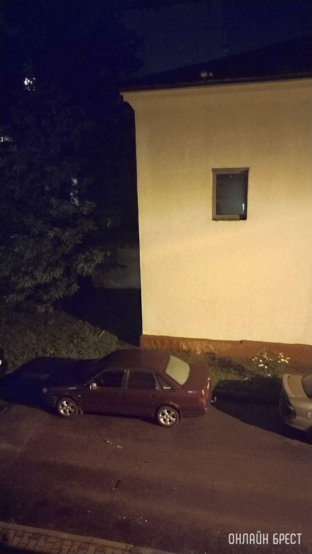 Как помочь животному?