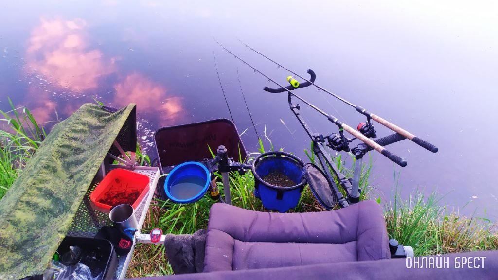 Улов жителя Бреста. Место рыбалки: река Мухавец