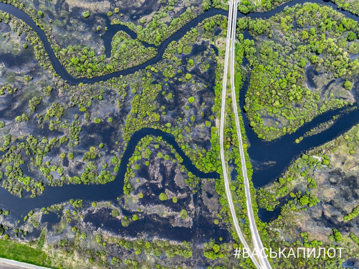 Природа. Кадры сделаны в Брестской области, недалеко от Пинска