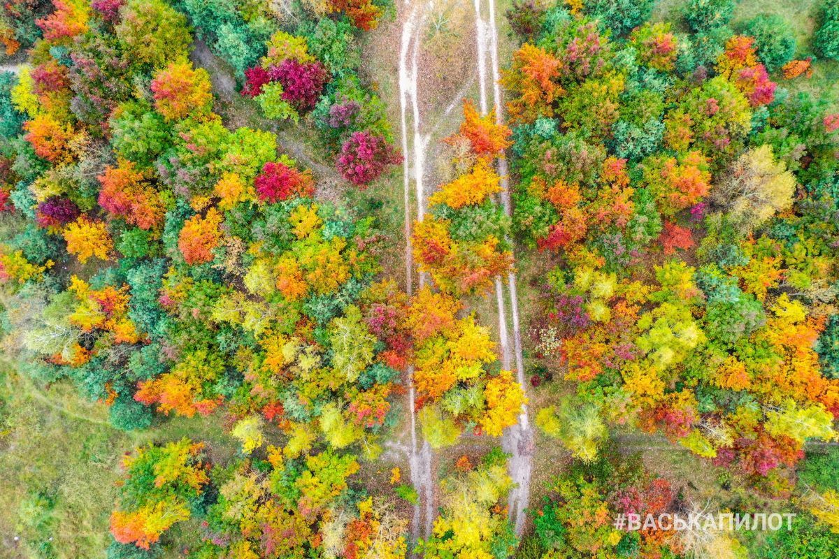 Посмотрите на осенний Брест с высоты