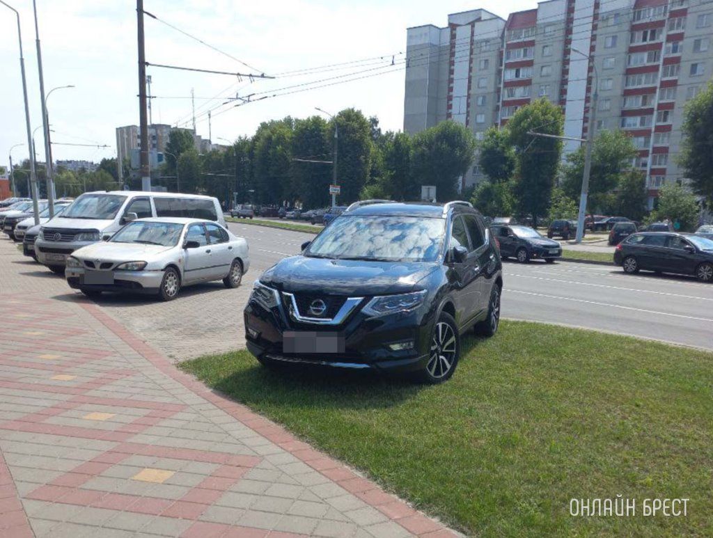Читатель: Просто нет слов. Брест Я.Купалы