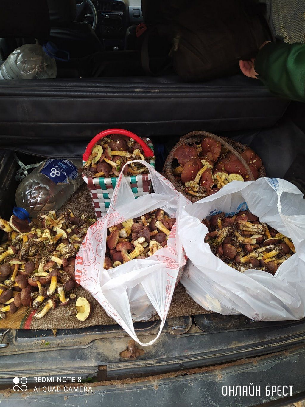 Читатель: Мой сегодняшний «улов» в Брестском районе