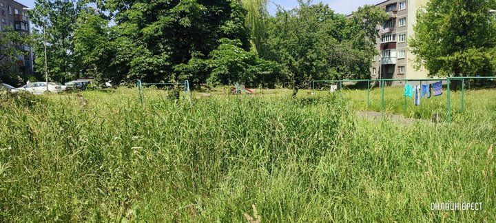 Читатель: Брест, ул. Я.Купалы. Вон какая трава вымахала