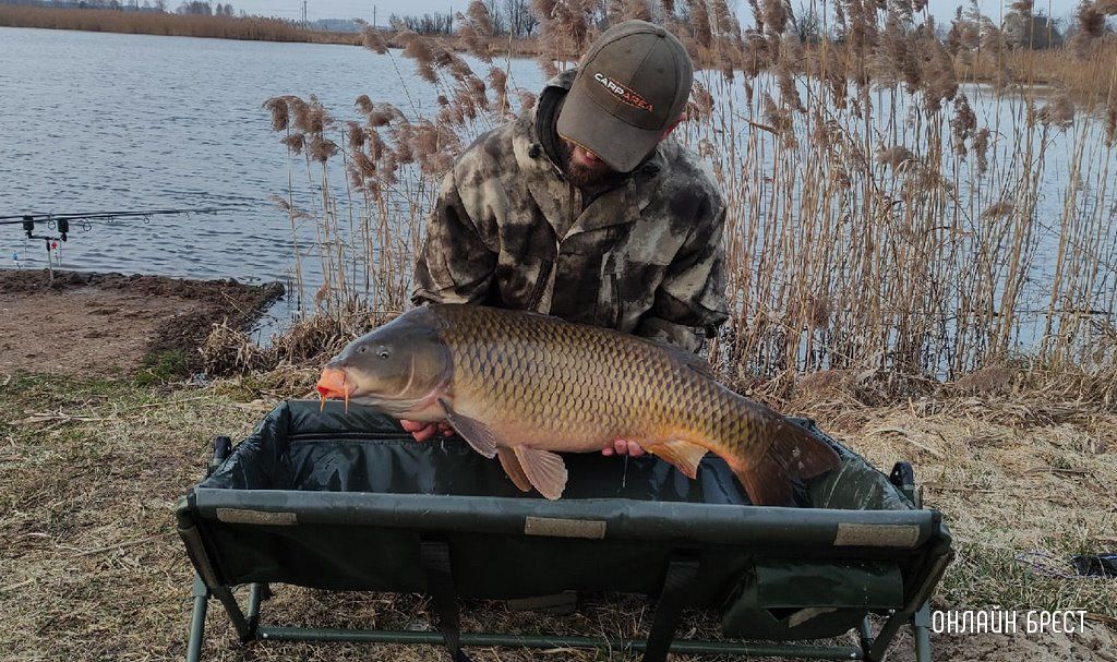 Как вам такая рыбка? Улов жителя Брестской области