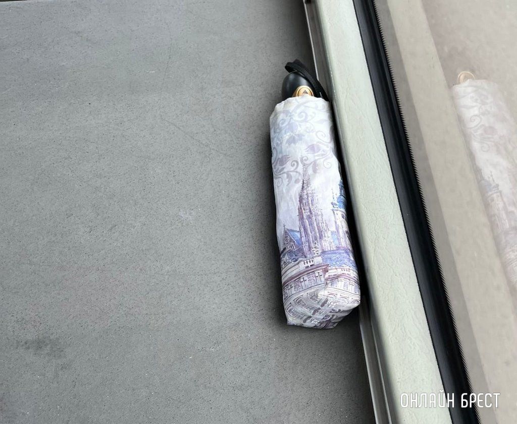 Читатель: История одного зонтика, посеянного вчера в троллейбусе №4