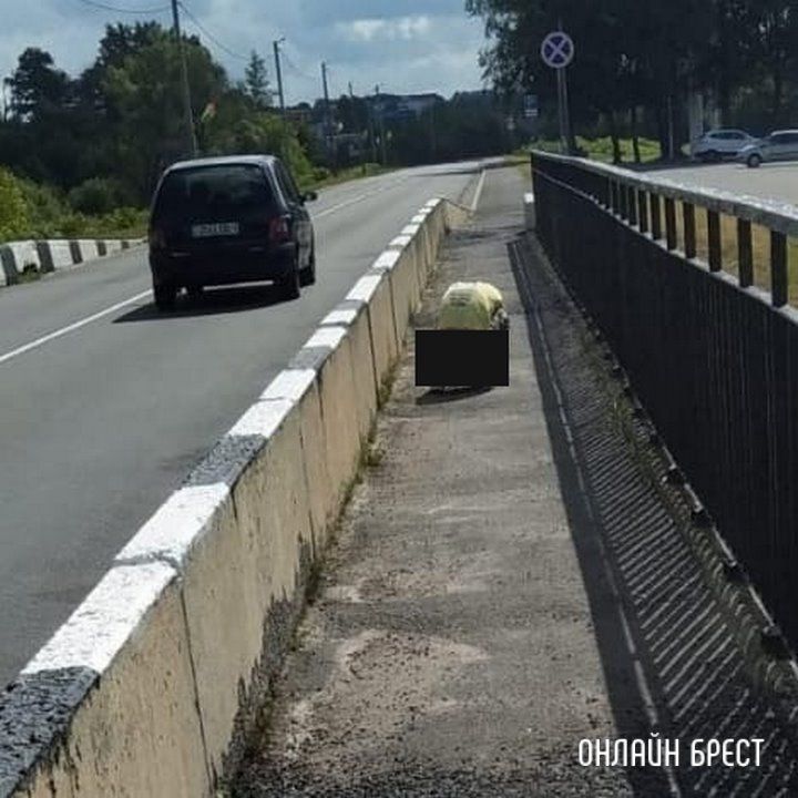 Читатель: И такое бывает. В Каменце человек справлял нужду прямо на мосту