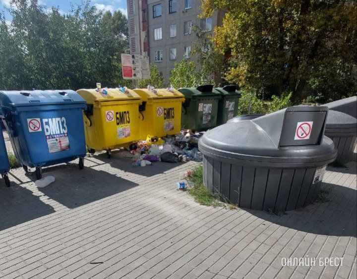 Читательница: Брест, ул. Рябиновая, 4. Мусор разлетается по двору