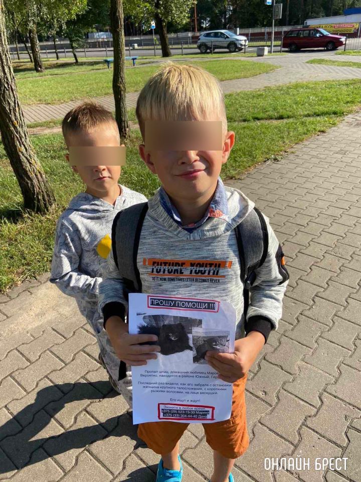 У меня огромная просьба, помогите в поиске нашего питомца! Что произошло?