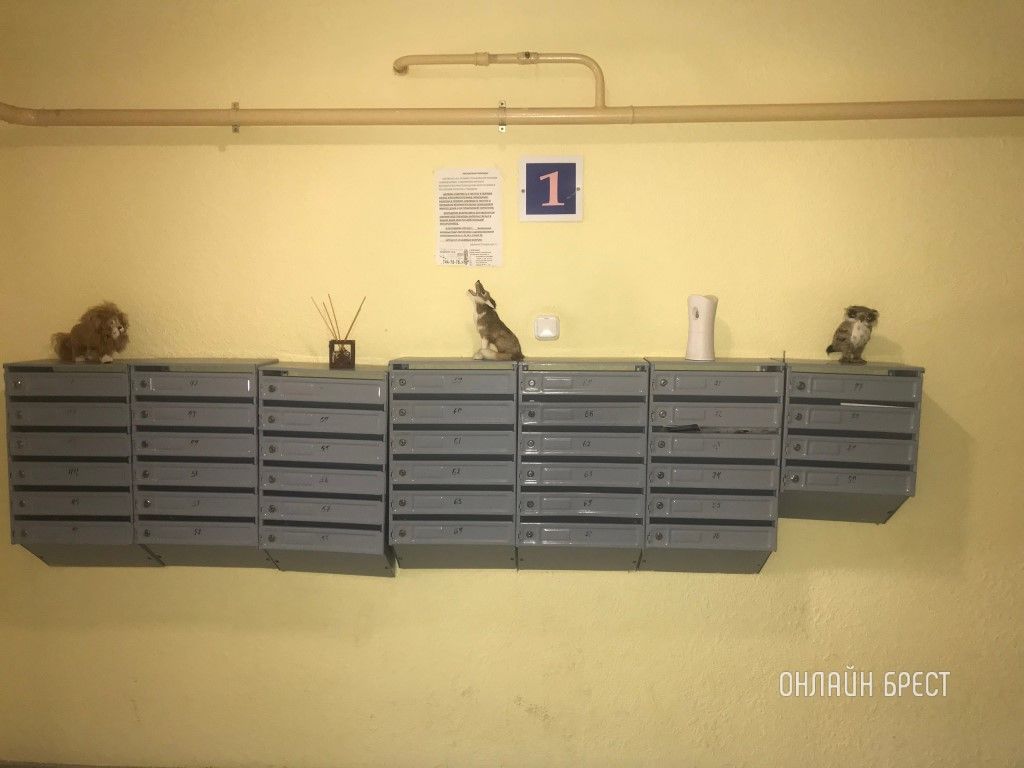 Читатель: В подъезде одного из многоквартирных домов Бреста, микрорайон Вулька. Респект жильцам!