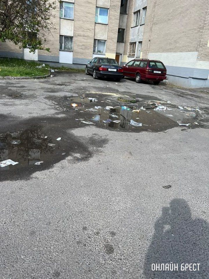 Читатель: Брест, ул. Советской Конституции 26/1. Надеюсь этим мусорным бака найдут правильное место