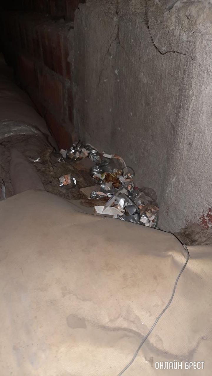 Брест. У каждого в подвале тоже такой движ-Париж?