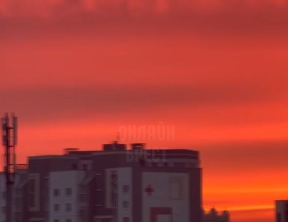 Читатель: А вы видели, какой сегодня был красивый рассвет в Бресте? Видео без каких-либо фильтров