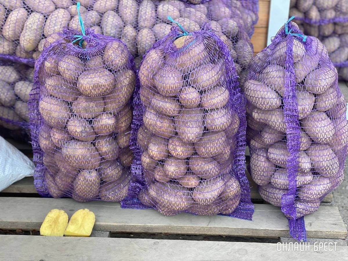 Читатель: Что почем на рынке за ЦУМом в Бресте