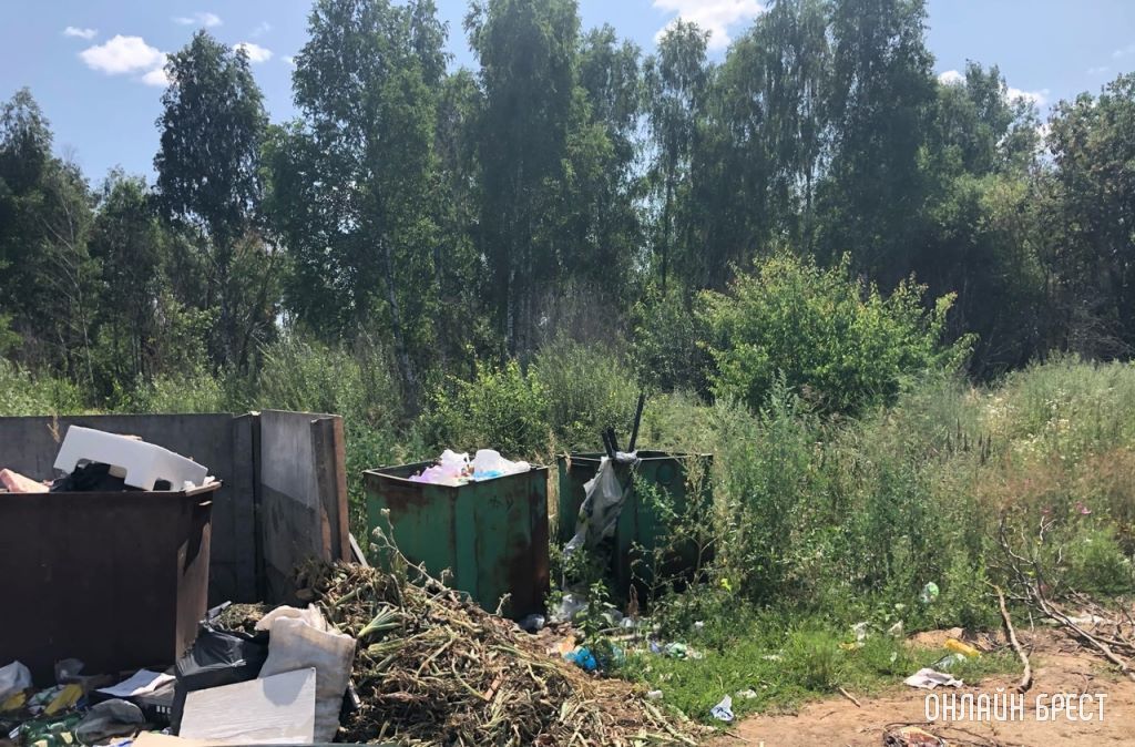 Читатель: Деревня Именин, Кобринский район. Деревня примыкает к городу. Такое происходит не редко