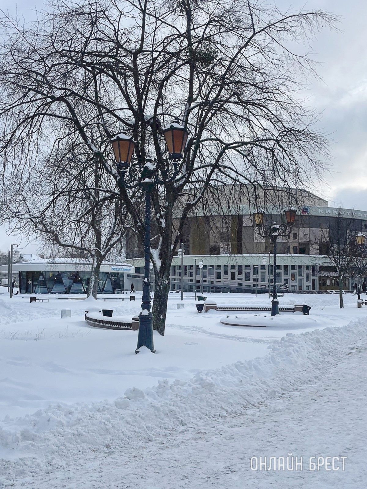 Красивая снежная Советская в Бресте. Фото сделаны сегодня