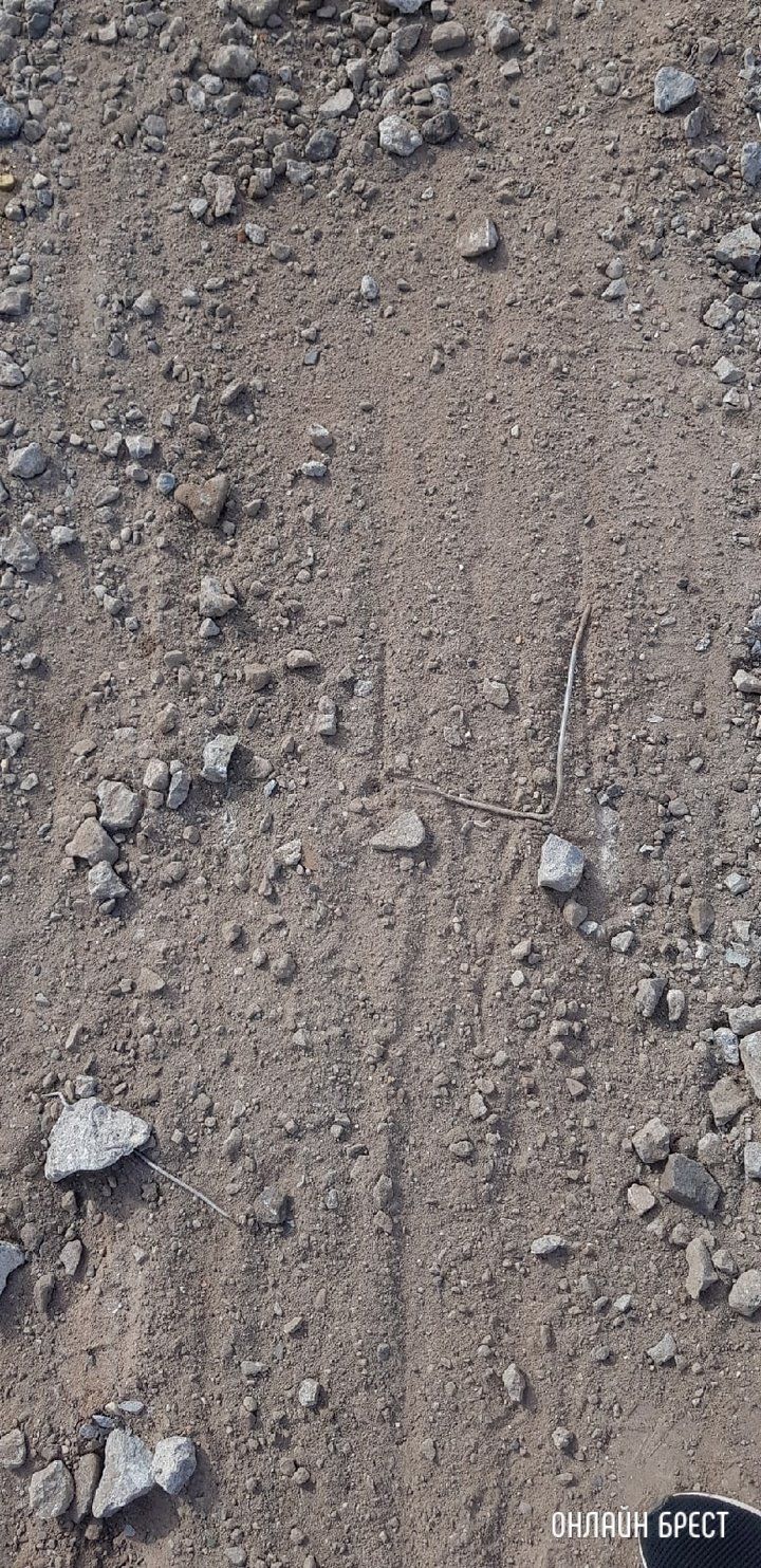 Читатель: Брест, улица Чичерина